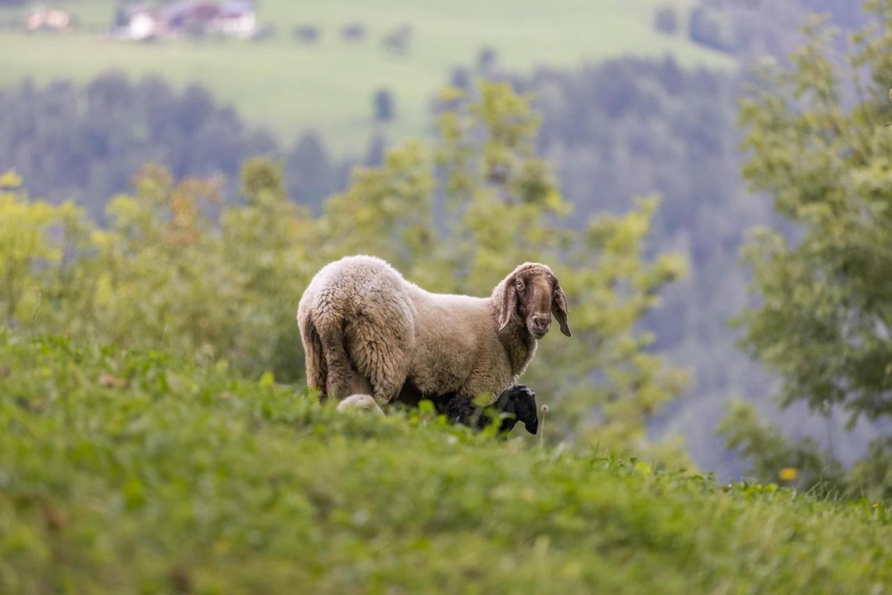 Oberplunerhof - Fewo Kronplatz Chienes Buitenkant foto